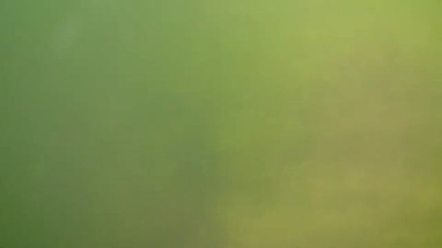 Рикконен. Моя первая нырялка. Оз. Длинное смотреть онлайн