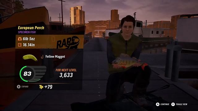 Xbox Online Tournament - Coarse Series - Rotterdam - The Catch Carp & Coarse смотреть онлайн