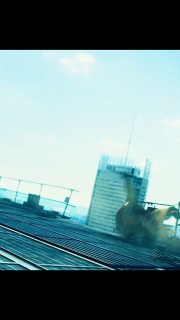 Шреддер раскидал Черепашек🔥 #черепашкининдзя #фильмы #shorts смотреть онлайн