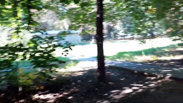 Белые грибы, да не те смотреть онлайн