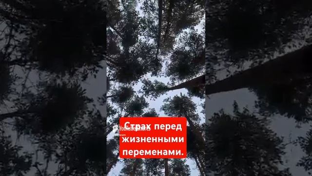 00001 смотреть онлайн