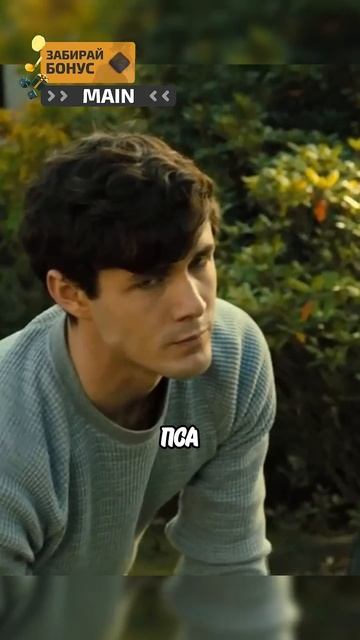 Собаку забрали у своего хозяина #фильмы #сериалы смотреть онлайн