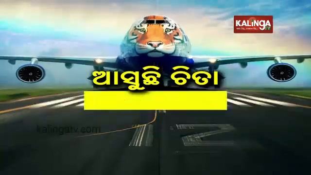 India: Special Jumbo Jet Appointed To Bring 8 Wild Cheetahs From Namibia || KalingaTV смотреть онлайн
