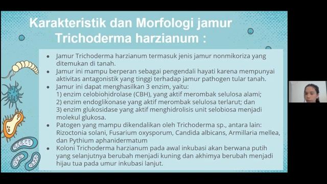 Kelompok 2 | Trichoderma harzianum