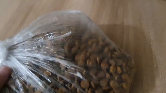 KEDİ YEMİ / KURU KEDİ MAMASI / KEDİ YEMİ KAÇ TL смотреть онлайн