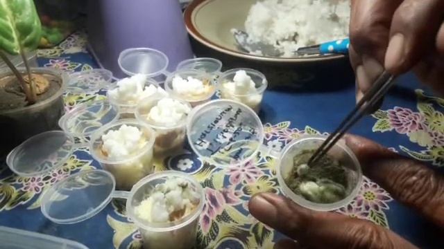 Tips Memperbanyak Bermacam Jamur Trichoderma Dkk