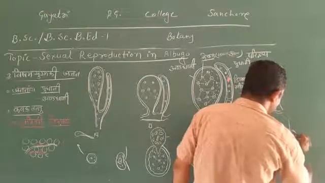 B.Sc.B.Sc.B.Ed-I Botany,Paper-II (Topic-Sexual Reproduction In Albugo)
