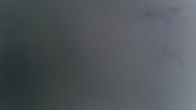 Metarhizium Anisopliae - Микорад INSEKTO 1.1 - 2023-06-17 (Nr.201 Iš Nr.191)