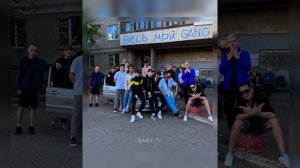 BABY TI -  Весь мой gang ( IRDAN REMIX) 2023