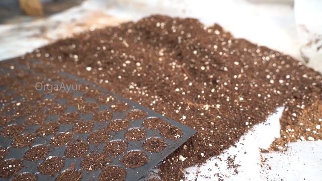 How to Prepare Potting Mixture| Home Gardening |Farming Tips| OrgaAyur - The Organic Way Of Living смотреть онлайн
