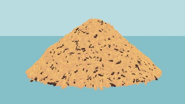 Ceres Solutions Turns Brewery Waste Into Gourmet Mushrooms And Enhanced Cattle Feed