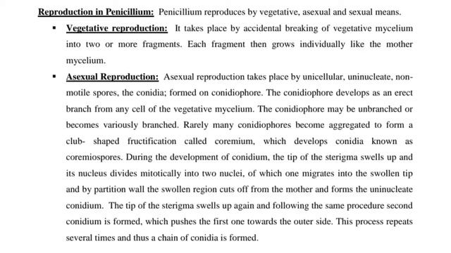 What is the Penicillium|Introduction, Occurrence, vegetative structure, reproduction| Botany For Yo смотреть онлайн