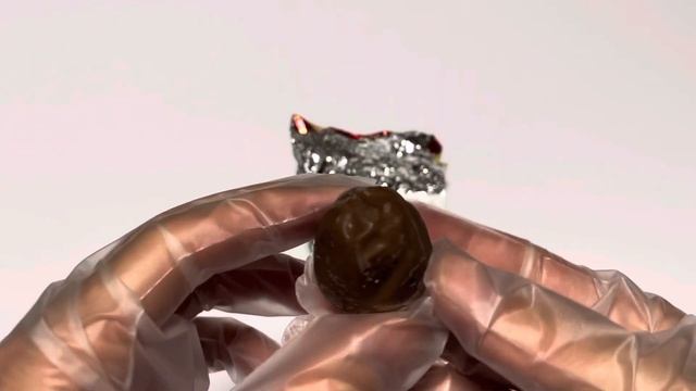 トリュフ ティラミス味/Truffle Tiramisu Flavor