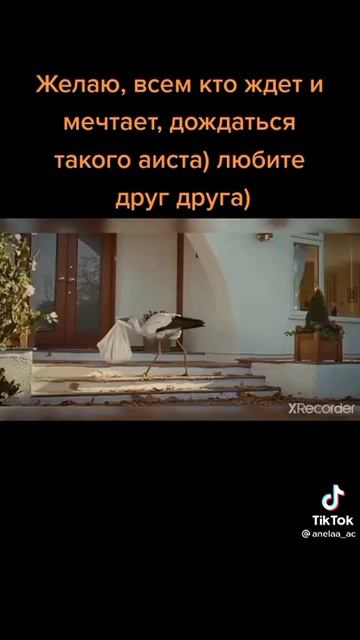 Аист как ангел смотреть онлайн