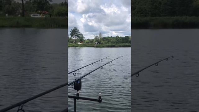 Karp 18,5 kg смотреть онлайн