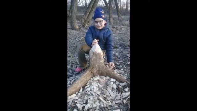 Бобровый рай. смотреть онлайн