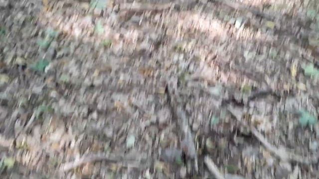 Трюфели без край Част 1 / Truffles Without End 1