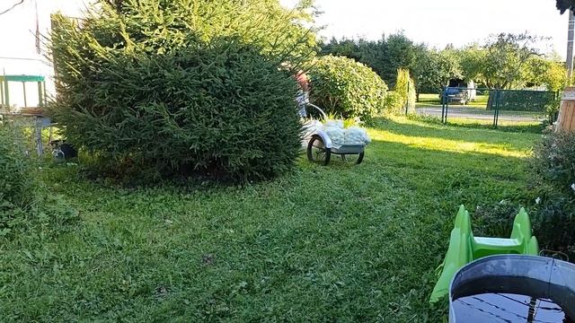 Вместо грибов, яблочный сок.