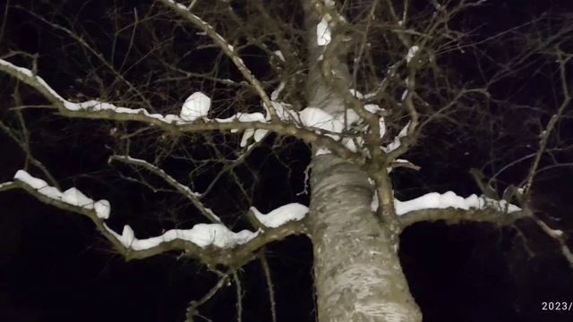 Лирическое настроение. Заволжский парк. Кавер в исполнении Елены Кондратьевой смотреть онлайн