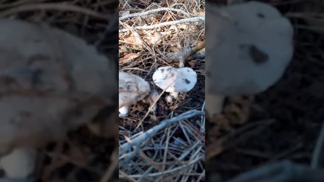 2 февраля 2023 г. смотреть онлайн