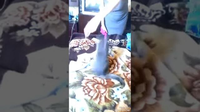 Новый клип Монатика кружыт голову ай до упаду смотреть онлайн