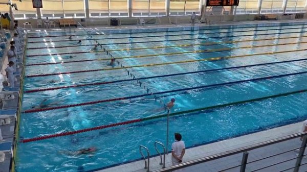 200 комплекс Веселый дельфин Региональные: девочки 20-й заплыв