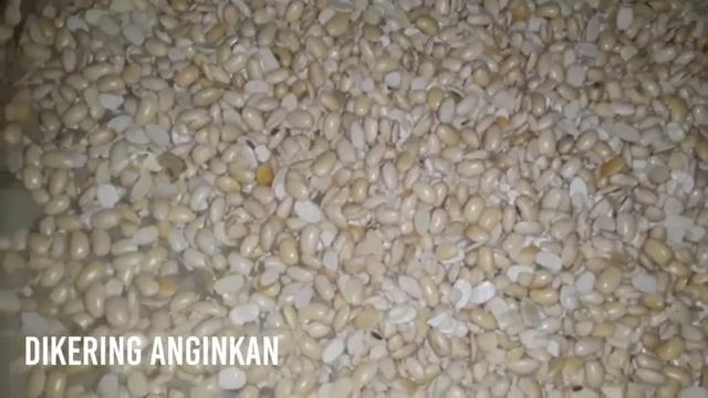 Praktikum Biologi Dasar II Bioteknologi Kelompok 1