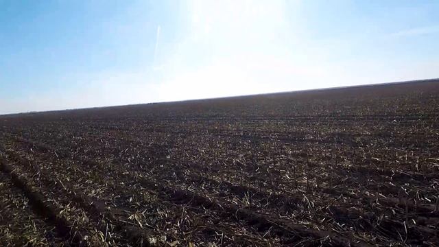 Lov zeca, novembar 2021. Rabbit hunting 2021. смотреть онлайн