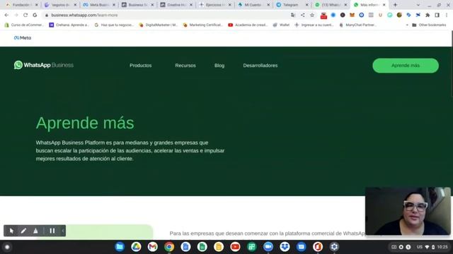 Whatsapp Business API Abierto Por META