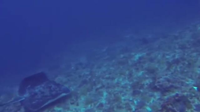 Marble Ray смотреть онлайн
