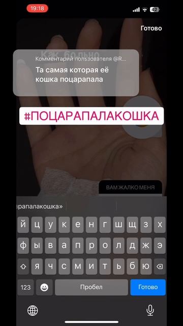 Та самая которые поцарапала кошка #shorts #рекомендации #популярное #подпишись #политика #реки смотреть онлайн
