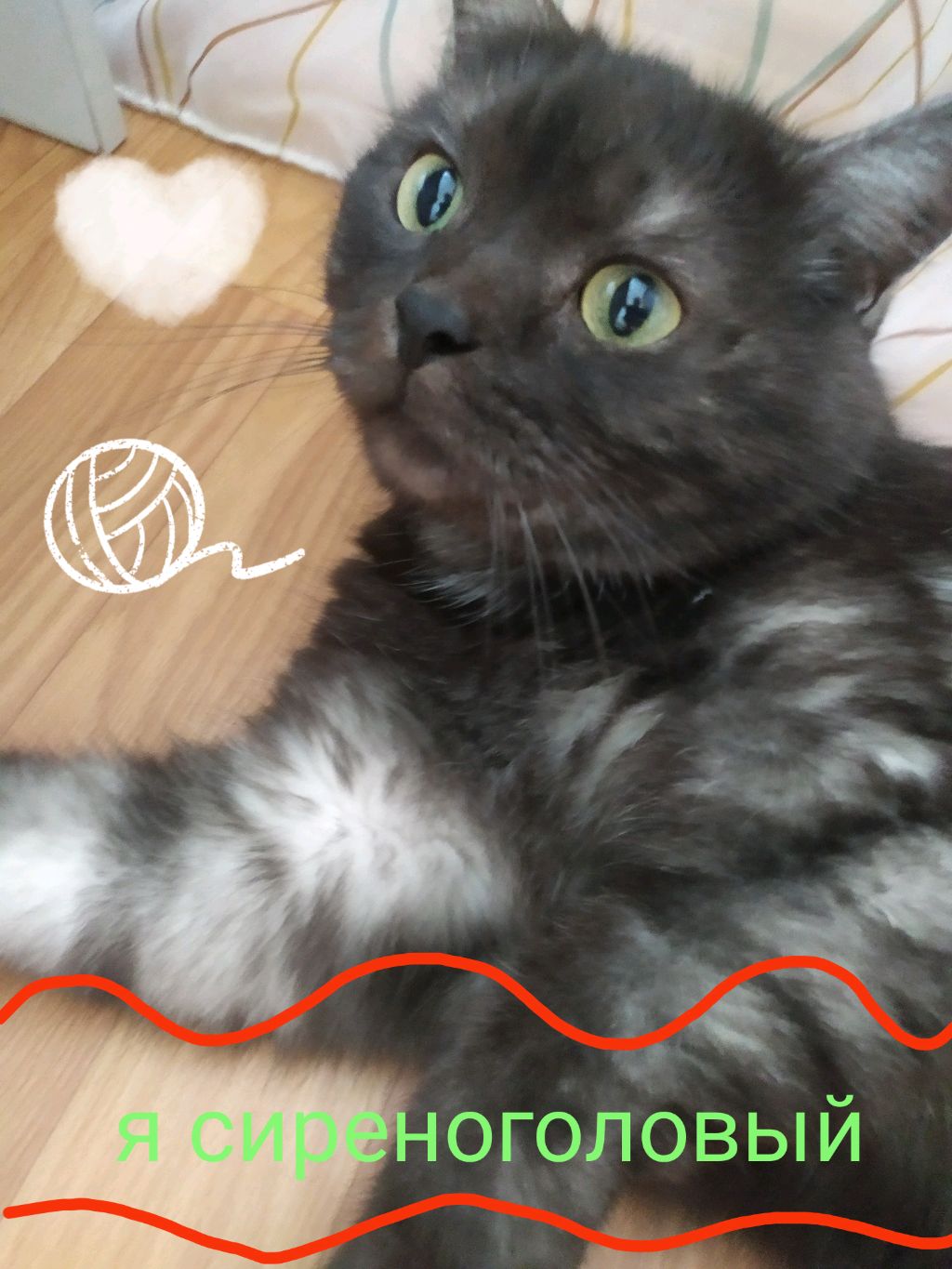 кот часть 27! смотреть онлайн