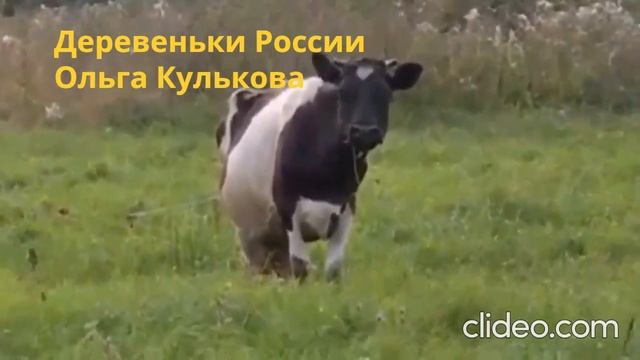 Деревеньки России.Читает автор Ольга Кулькова(Хлебникова)