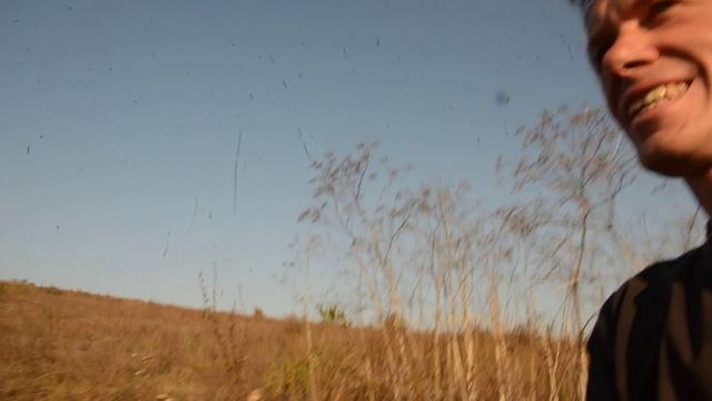 В сухой траве цветочки октября