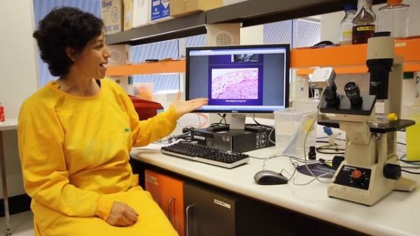 One Health Research Fundraiser