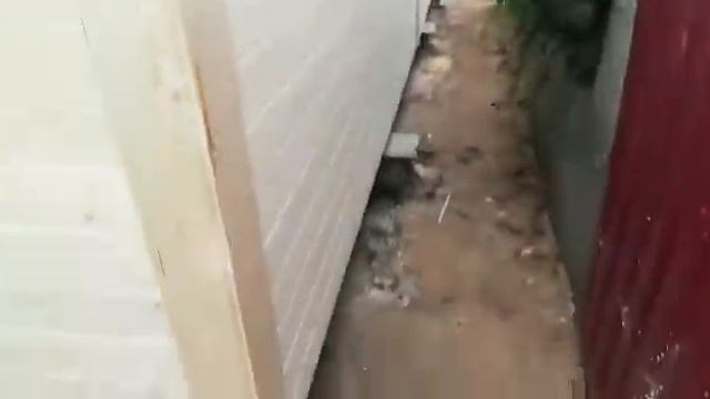 11 сентября 2018 г. смотреть онлайн