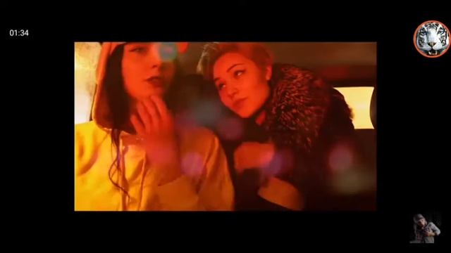 Грибы Любовь ( версия Си )