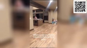 Смешные коты до слёз без озвучки! Лучшие смешные видео с животными! Смешно до слез