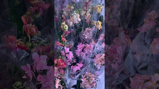 6 марта 2024 г. смотреть онлайн