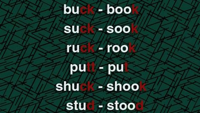 DVD 2 Master Spoken English - 02.3 Minimal Pairs - 13 buck book смотреть онлайн