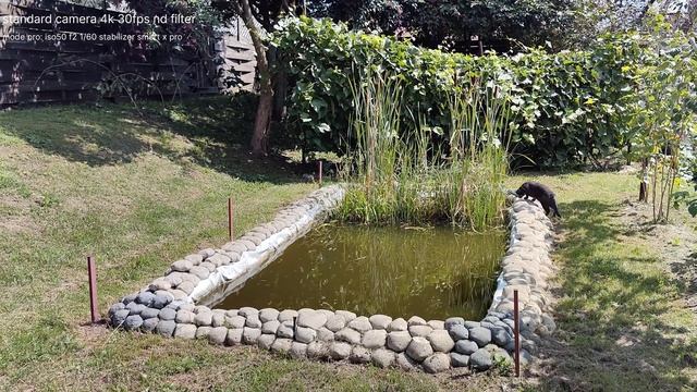 HUAWEI P60 PRO Standard Camera VS Mcpro24fps