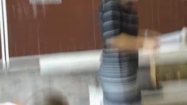 Фрагмент уроку природознавства ""Гриби" смотреть онлайн