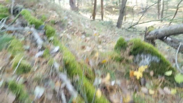 ГСВГ. Объект на Ютербогском полигоне,капониры 28.10.2021 смотреть онлайн