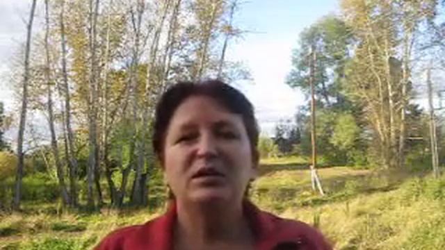 Домашний бизнес,это здорово смотреть онлайн