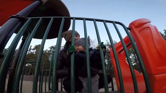 Ноябрь 2018 г.