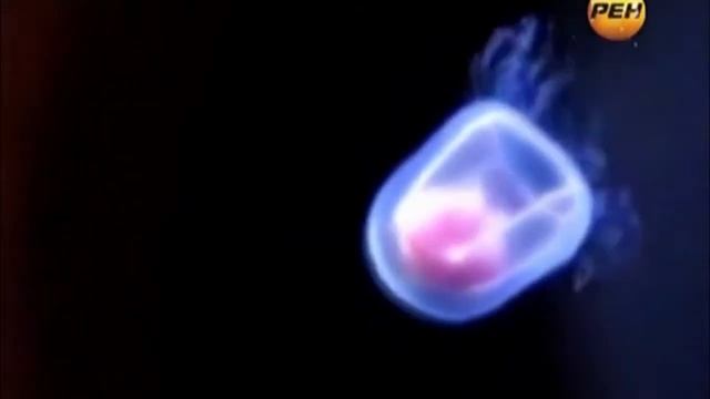 Игры богов Стрижак