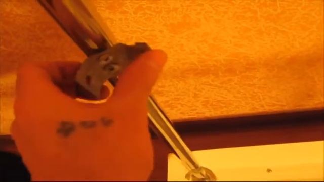 Сделать клетку смотреть онлайн