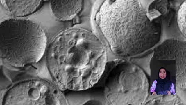 PECHAKUCHA SACCHAROMYCES BOULARDII