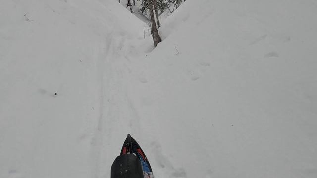 SSBW - Sakhalin SnowBike World #2