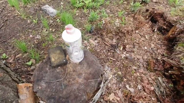 грибочки... смотреть онлайн